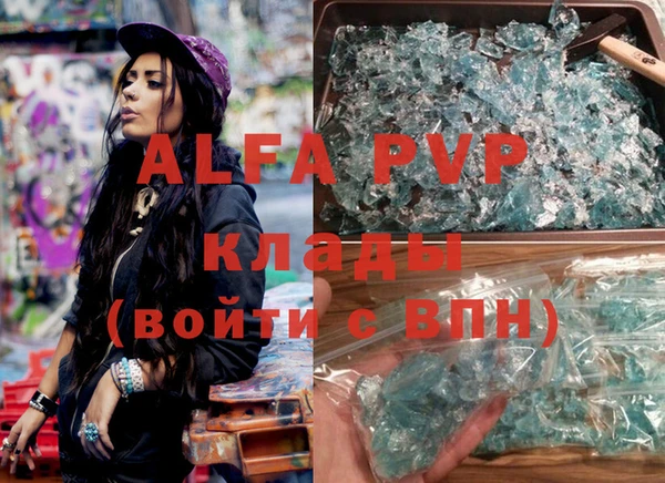 индика Верея