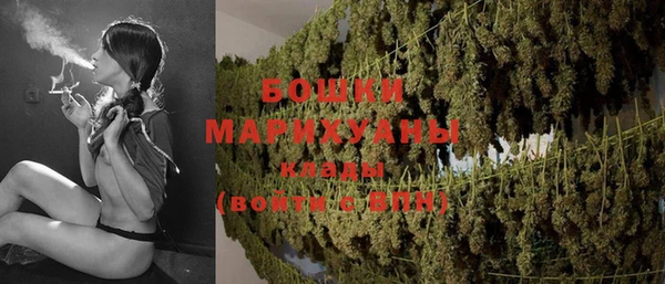 стаф Бронницы