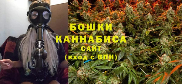 стаф Бронницы